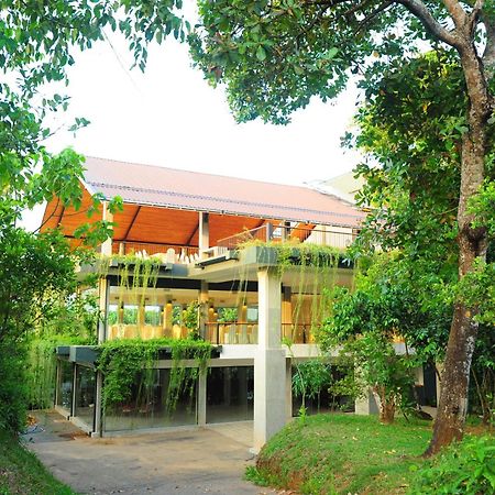 Kithul Kanda The Mountain Resort Padukka Ngoại thất bức ảnh